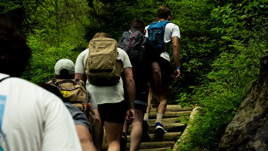a group of people walking up a set of stairs